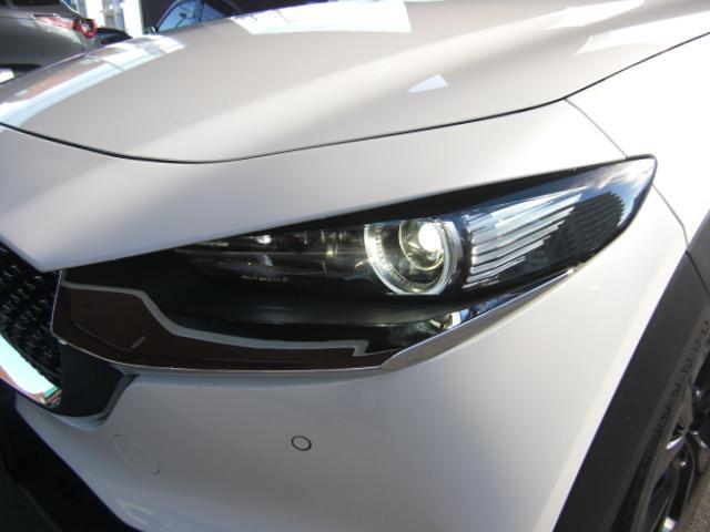 ＣＸ－３０ ２０Ｓ　ブラックトーンエディション　衝突被害軽減システム　アダプティブクルーズコントロール　全周囲カメラ　電動シート　シートヒーター　バックカメラ　オートライト　ＬＥＤヘッドランプ　ＥＴＣ　Ｂｌｕｅｔｏｏｔｈ　電動リアゲート（19枚目）