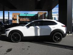 ãءݣ ӡ֥åȡ󥨥ǥ󡡾ﳲڸƥࡡץƥ֥롼ȥ롡ϥ 0202165A20251010R001 3