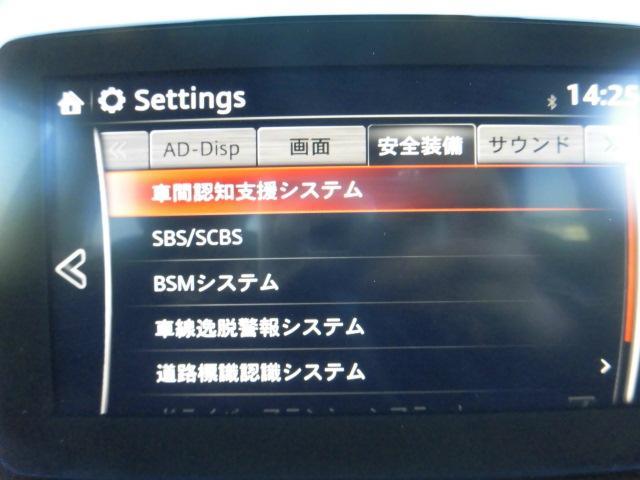 XD プロアクティブ 純正ナビ TV(14枚目)