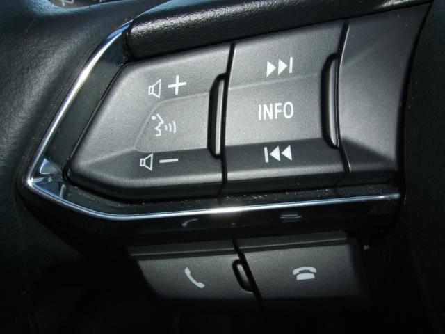 デミオ １３Ｓツーリング　衝突被害軽減システム　アダプティブクルーズコントロール　シートヒーター　バックカメラ　オートライト　ＬＥＤヘッドランプ　ＥＴＣ　Ｂｌｕｅｔｏｏｔｈ（9枚目）