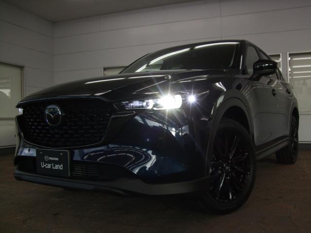 ＣＸ－５ ＸＤ　ブラックセレクション　衝突被害軽減システム　アダプティブクルーズコントロール　全周囲カメラ　オートマチックハイビーム　電動シート　シートヒーター　バックカメラ　オートライト　ＬＥＤヘッドランプ　Ｂｌｕｅｔｏｏｔｈ（19枚目）