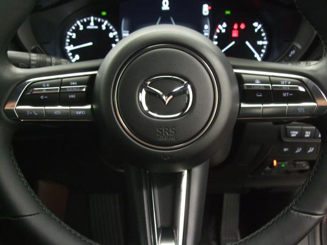 �X�e�A�����O�ɂ͊e��X�C�b�`��z�u�B����͎�ɃI�[�f�B�I�̑�����A�E��́u���[�_�[�N���[�Y�R���g���[���v�̑�����s���܂��B