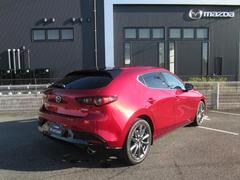 ѥͥ˥饯饤ʤȤǡդ˸Ԥ˶ʥ饯ݤŤ뤳Ȥ̵Υǥ󡣣ɥǥ󥪥֥䡼 2