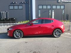 ץ쥹饤Ӥ̤Υɥӥ塼ȿͤʿαǤߤưɽƤޤ 3