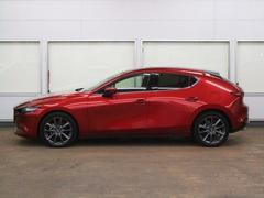 ץ쥹饤Ӥ̤Υɥӥ塼ȿͤʿαǤߤưɽƤޤ 3