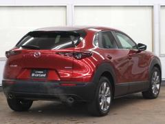 �ãءݣ��� �����ӡ������ﳲ�ڸ������ƥࡡ�����ץƥ��֥��롼������ȥ����롡�����ȥޥ��å��ϥ��ӡ��ࡡ�Хå������ 0202166A20260120R002 2