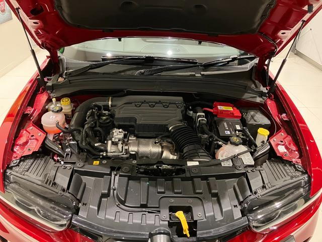 �A���t�@�����I�炵���y���ȑ�������̊���������