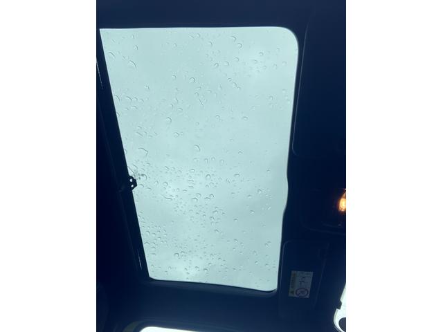 �T�����[�t�����ł�