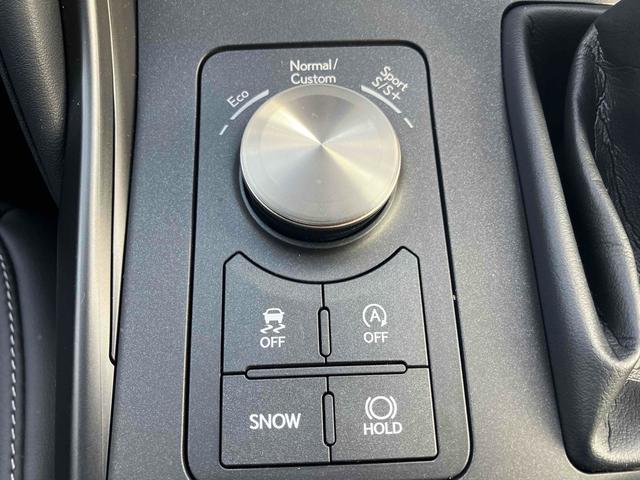 LEXUS IS IS300 F SPORT