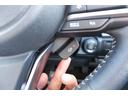 「ステアリングヒーター」もオプション装備、手元も素早く温かくなってくれます