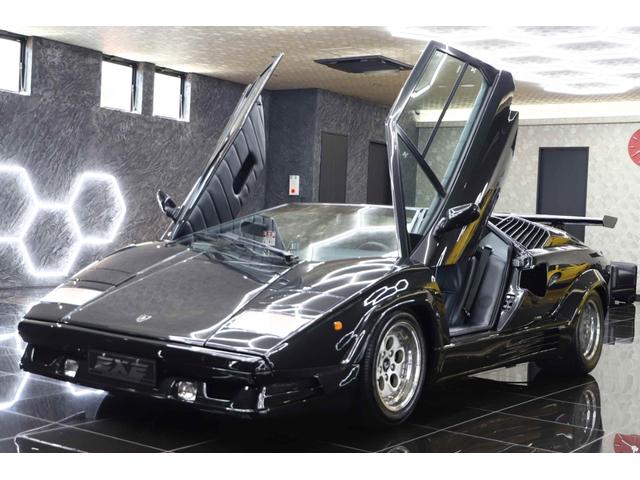 カウンタック 　２５ｔｈアニバーサリー（17枚目）