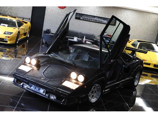 カウンタック 　２５ｔｈアニバーサリー（25枚目）