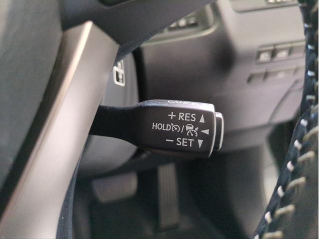 ＲＸ ＲＸ２００ｔ　衝突軽減装置　追従クルコン　純正ナビ　電動リアゲート　ＥＴＣ２．０　レーンアシスト　バック・サイドカメラ　電動シート　ハーフレザーシート　ＬＥＤライト　ターボ　ＢＴオーディオ　ＵＳＢ接続　純正アルミ（29枚目）