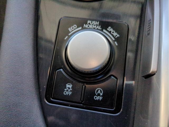 ＲＸ ＲＸ２００ｔ　衝突軽減装置　追従クルコン　純正ナビ　電動リアゲート　ＥＴＣ２．０　レーンアシスト　バック・サイドカメラ　電動シート　ハーフレザーシート　ＬＥＤライト　ターボ　ＢＴオーディオ　ＵＳＢ接続　純正アルミ（37枚目）