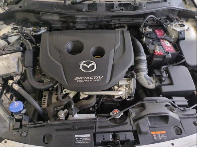 �y�S���̔����A���n�j�ł��I�z���Ђ͍����ł���Ζk�͖k�C�������͉���܂ŁA����ɊC�O�ւ������̔����т��������܂��̂ŁA���u�n�̂��q�l�̂����k�A���_�񂩂炲�[�Ԃ܂ŃX���[�Y�ɐi�߂����Ē����܂��B