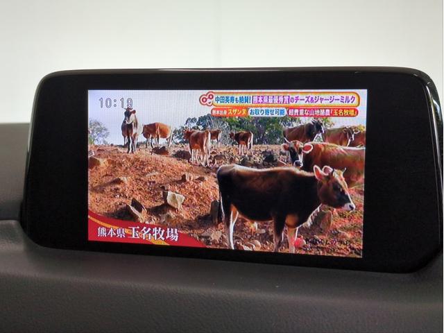 ＣＸ－８ ＸＤプロアクティブ　衝突軽減Ｂ　追従クルコン　後席モニター　障害物センサ　ＢＳＭ　レーンアシスト　全周囲カメラ　電動シート　シートヒーター　パドルシフト　ターボ　ＢＴ・ＵＳＢ接続　ＬＥＤライト　ＡＦＳ　純正アルミ　ＥＴＣ（33枚目）