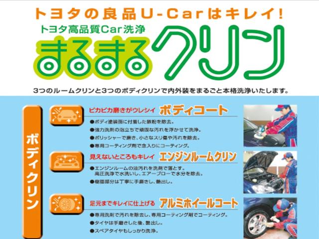 Ｇ　ワンオーナー　スマートキー　メモリーナビ　オートクルーズコントロール　ＣＶＴ　記録簿　キーレス　盗難防止装置(41枚目)