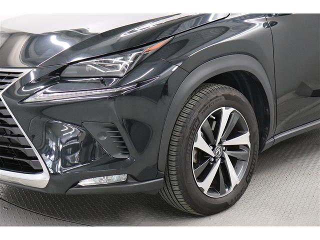 ＮＸ ＮＸ３００　バージョンＬ　ナビＴＶ　衝突被害軽減　１オーナ　Ｓキー　記録簿　ムーンルーフ　キーレス　ＥＴＣ車載器　本革シート　アルミホイール　地デジ　ミュージックプレイヤー接続可　クルコン　ＤＶＤ再生　メモリーナビ（15枚目）