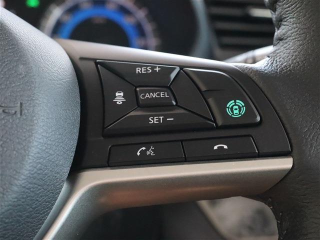 デリカミニ Ｇ　プレミアム　リミテッドエディション（14枚目）