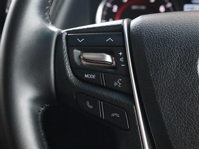 アルファード 2.5S タイプゴールドII サンルーフ BSM Dミラー ナビ バックカメラ ETC(19枚目)