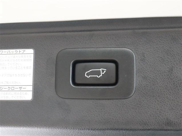 アルファード 2.5S タイプゴールドII サンルーフ BSM Dミラー ナビ バックカメラ ETC(41枚目)