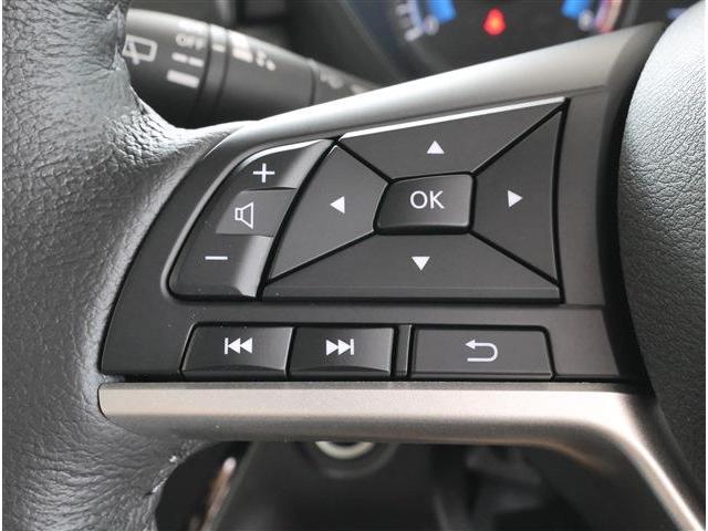 デリカミニ Ｇ　プレミアム　リミテッドエディション（12枚目）