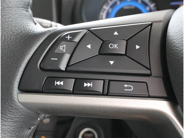 デリカミニ Ｇ　プレミアム　リミテッドエディション　Ｍパイロット　全カメラ（10枚目）