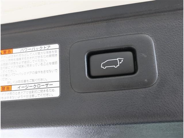 アルファード 2.5S Cパッケージ サンルーフ BSM ナビ バックカメラ ETC 電動格納ミラー(20枚目)