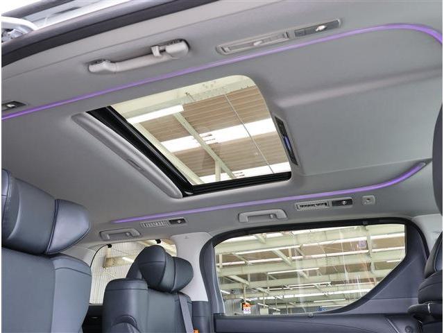 アルファード 2.5S Cパッケージ サンルーフ BSM ナビ バックカメラ ETC 電動格納ミラー(26枚目)