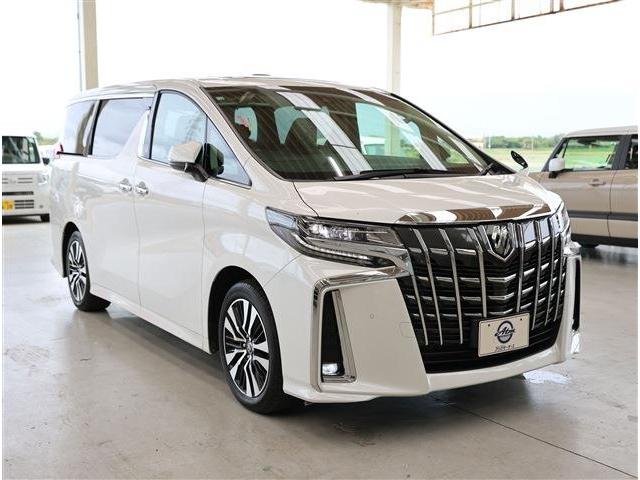 アルファード 2.5S Cパッケージ サンルーフ BSM ナビ バックカメラ ETC 電動格納ミラー(34枚目)