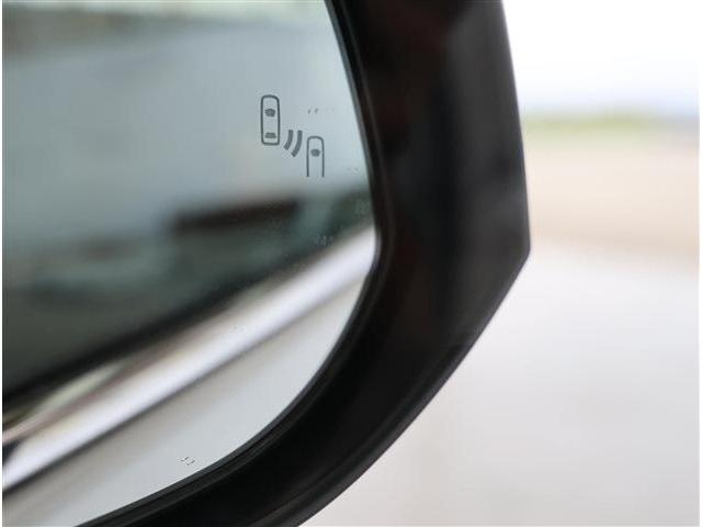 アルファード 2.5S Cパッケージ サンルーフ BSM ナビ バックカメラ ETC 電動格納ミラー(46枚目)