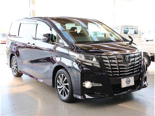 アルファード 2.5S Aパッケージ 軽減B・8型ナビ・TV・後席M・Bカメラ・ETC(24枚目)