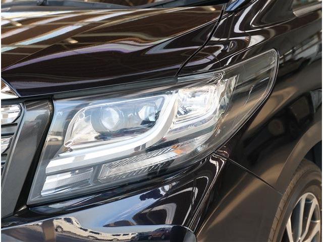 アルファード 2.5S Aパッケージ 軽減B・8型ナビ・TV・後席M・Bカメラ・ETC(28枚目)