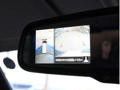 ���ĥߥ⡼�������ǤϿ͵�����ż֤������������桪�ǣ��ݣ����Ǻܼ��Ұʳ��ˤ�ۡ���ڡ����˷Ǻ��桪�� 5