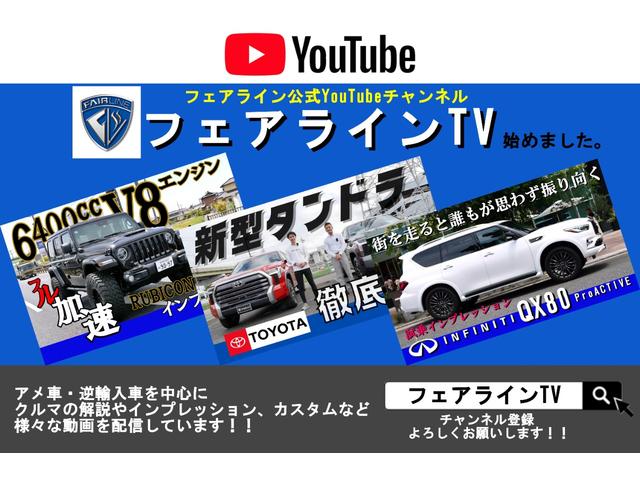 ４ランナー リミテッド　４ＷＤ　新車並行１オーナー　アルパインナビ＆フリップダウンモニター（3枚目）