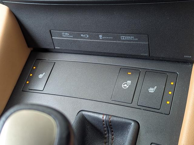 RC RC300h トパーズブラウン内装/TRDスポーツマフラー/ダウンサス/Fスポーツグリル/純正SDナビTV/アダプティブクルーズコントロール/レーンアシスト/クリアランスソナー/メモリー付パワーシート(15枚目)