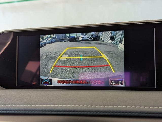 ＵＸ ＵＸ２５０ｈ　バージョンＣ　Ｌｔｅｘブラックシート／アダプティブクルーズコントロール／レーンアシスト／ブラインドスポットモニター／１０．３インチワイドナビＴＶ／バックカメラ／クリアランスソナ／パワーバックドア（10枚目）