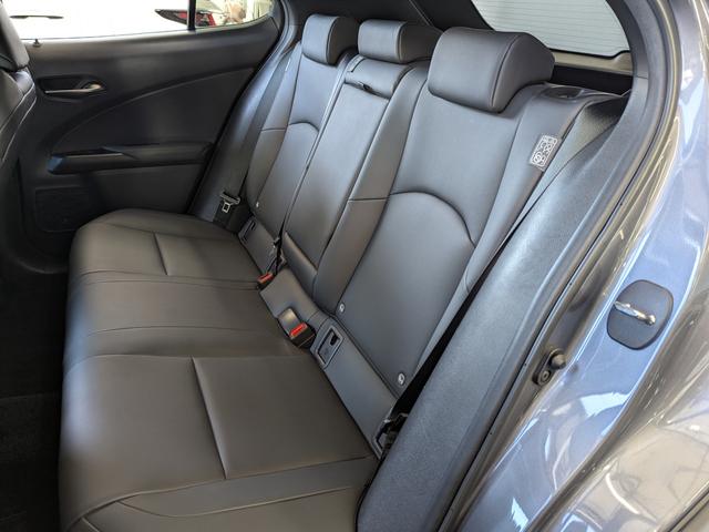 ＵＸ ＵＸ２５０ｈ　バージョンＣ　Ｌｔｅｘブラックシート／アダプティブクルーズコントロール／レーンアシスト／ブラインドスポットモニター／１０．３インチワイドナビＴＶ／バックカメラ／クリアランスソナ／パワーバックドア（17枚目）