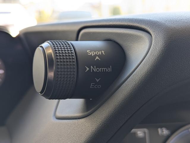 ＵＸ ＵＸ２５０ｈ　バージョンＣ　Ｌｔｅｘブラックシート／アダプティブクルーズコントロール／レーンアシスト／ブラインドスポットモニター／１０．３インチワイドナビＴＶ／バックカメラ／クリアランスソナ／パワーバックドア（23枚目）