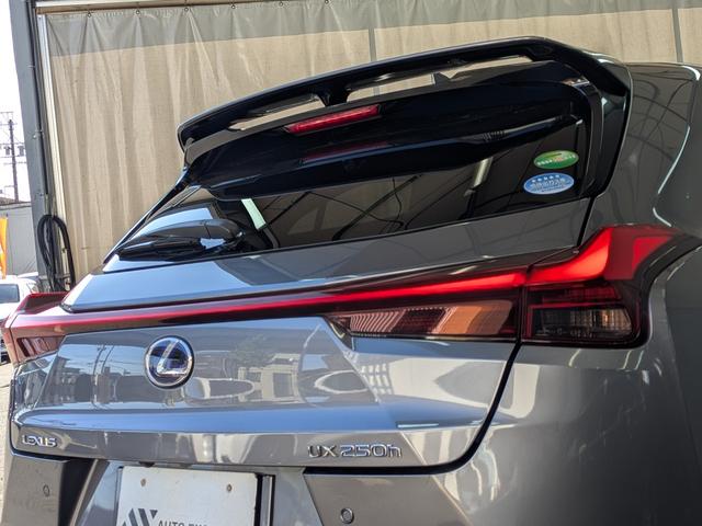 ＵＸ ＵＸ２５０ｈ　バージョンＣ　Ｌｔｅｘブラックシート／アダプティブクルーズコントロール／レーンアシスト／ブラインドスポットモニター／１０．３インチワイドナビＴＶ／バックカメラ／クリアランスソナ／パワーバックドア（31枚目）