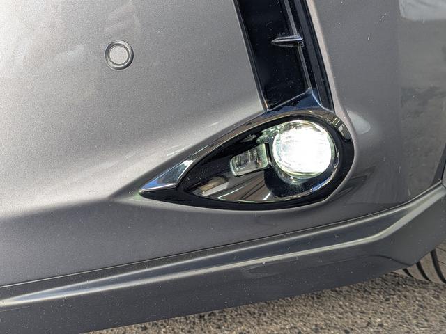 ＵＸ ＵＸ２５０ｈ　バージョンＣ　Ｌｔｅｘブラックシート／アダプティブクルーズコントロール／レーンアシスト／ブラインドスポットモニター／１０．３インチワイドナビＴＶ／バックカメラ／クリアランスソナ／パワーバックドア（33枚目）