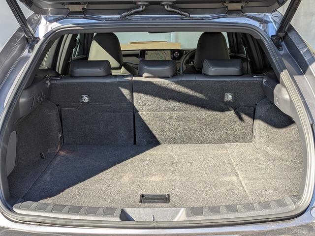 ＵＸ ＵＸ２５０ｈ　バージョンＣ　Ｌｔｅｘブラックシート／アダプティブクルーズコントロール／レーンアシスト／ブラインドスポットモニター／１０．３インチワイドナビＴＶ／バックカメラ／クリアランスソナ／パワーバックドア（43枚目）