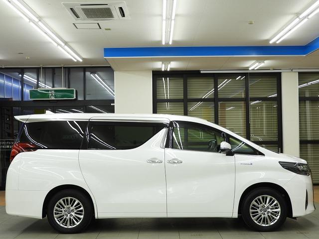 G Fパッケージ サンルーフ純正SDナビTVパノラミック後席モニター本革シート&シートヒーター両側パワースライドドア&パワーバックドアBSMレーダークルーズ&プリクラ純正17AWデジタルインナーミラーETCスマートキー(7枚目)