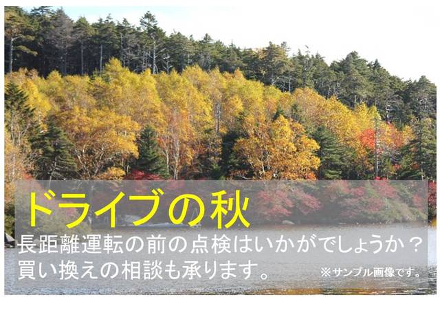 ５００ １．４　１６Ｖ　ポップ　純正アルミホイール　メッキバンパー　ＥＴＣ　ホワイトレザーステアリング　Ｔベル交換済　ウォーターポンプ交換済み　デュアロジックポンプ交換済み（33枚目）