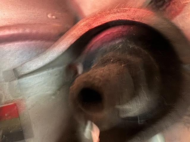 フィット ＲＳ　無限マフラー無限サスペンション無限エアロバンパー無限スポイラー無限フロアマット無限レカロシートレール　フルフラット　キ－レス　セキュリティアラーム　ＡＡＣ　衝突安全ボディ　ＥＴＣ（62枚目）