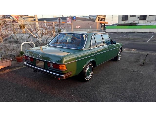 ミディアムクラス ２３０Ｅ　燃料ポンプ　デスビ　フィルター交換済　　Ｗ１２３　Ｓ１２３　　２３０Ｅ　Ｅ２３０　２８０Ｅ　　３００Ｄ　　グリーン（16枚目）