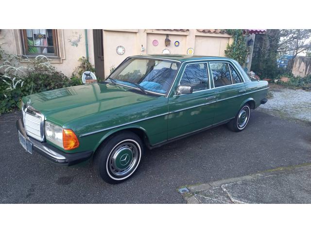 ミディアムクラス ２３０Ｅ　燃料ポンプ　デスビ　フィルター交換済　　Ｗ１２３　Ｓ１２３　　２３０Ｅ　Ｅ２３０　２８０Ｅ　　３００Ｄ　　グリーン（40枚目）