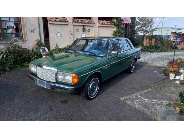 ミディアムクラス ２３０Ｅ　燃料ポンプ　デスビ　フィルター交換済　　Ｗ１２３　Ｓ１２３　　２３０Ｅ　Ｅ２３０　２８０Ｅ　　３００Ｄ　　グリーン（52枚目）