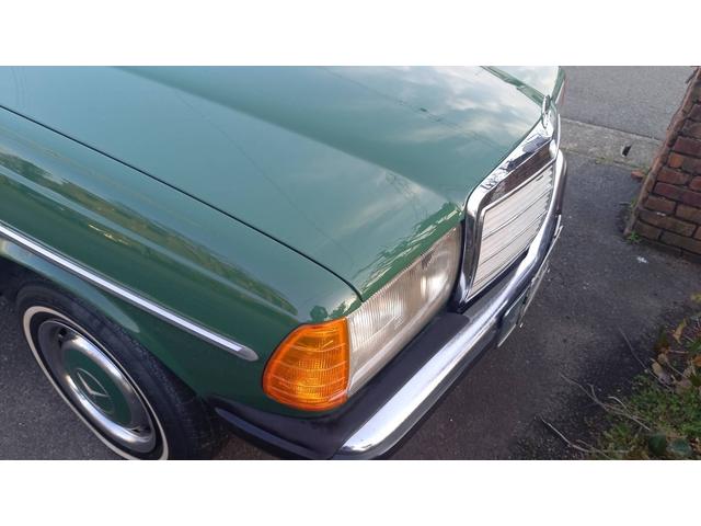 ミディアムクラス ２３０Ｅ　燃料ポンプ　デスビ　フィルター交換済　　Ｗ１２３　Ｓ１２３　　２３０Ｅ　Ｅ２３０　２８０Ｅ　　３００Ｄ　　グリーン（57枚目）