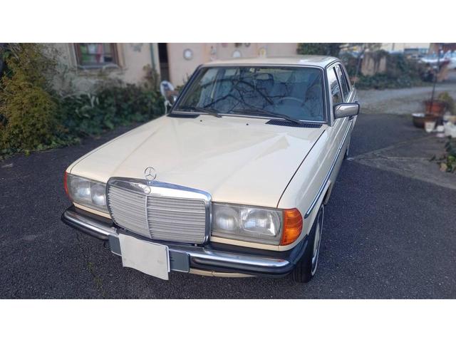 ２３０Ｅ　ｗ１２３　　ｓ１２３　　２３０Ｅ　Ｅ２３０　２８０Ｅ　３００Ｄ　オリジナルカラー　　アイボリー　　ベージュ(4枚目)